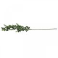 Floristik24 Deco branch eucalyptus artificial eucalyptus branch 75cm