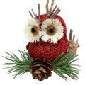Floristik24 Owl to hang autumn decoration 3pcs