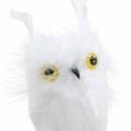 Floristik24 Decorative plug owl white 10cm 2pcs