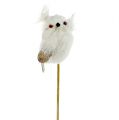 Floristik24 Owl on stick white 9cm L48cm