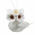 Floristik24 Decorative owl with crown to hang white, glitter 6.5 × 8cm 6pcs.