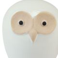 Floristik24 Owl decoration figures ceramic forest animal decoration white 11.5cm 3pcs