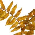 Floristik24 Artificial fern autumn colors 33cm 12pcs