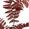 Floristik24 Artificial Fern Dark Pink 81cm Artificial plant like the real thing!