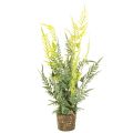 Floristik24 Artificial fern plant with root ball for home and office decoration, 57cm