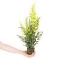 Artificial fern plant with root ball for home and office decoration, 57cm | Floristik24.ie