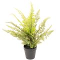 Floristik24 Artificial fern plant in a pot for indoor greenery, 40cm