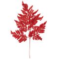 Floristik24 Preserved and dyed fern fronds, true fern for autumn arrangements, 42cm, 10 pieces