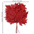 Preserved and dyed fern fronds, true fern for autumn arrangements, 42cm, 10 pieces | Floristik24.ie
