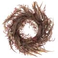 Floristik24 Artificial wreath with fern branches, autumn decoration, 35cm