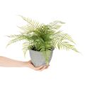 Artificial fern in a plant pot for living room and office, 35cm | Floristik24.ie