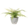 Artificial fern in a plant pot for living room and office, 35cm | Floristik24.ie