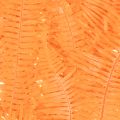 Fern branch, preserved fern,