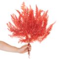 Ferns, preserved dried flowers, autumn decoration, 60cm, 10 pieces | Floristik24.ie