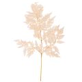 Floristik24 Dried fern decoration for vase 42cm 10pcs