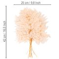 Dried fern decoration for vase 42cm 10pcs | Floristik24.ie