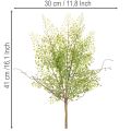 Artificial green Ruscus branch for floral decoration, 41cm | Floristik24.ie