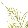 Artificial fern branch decoration, green, lifelike, 56cm | Floristik24.ie