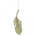 Floristik24 Decorative feathers, tree decorations with glitter, advent decorations, feathers for hanging golden L22cm 12pcs