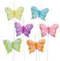 Floristik24 Feather butterfly 6cm assorted colors 24pcs