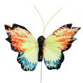 Floristik24 Feather butterfly 9cm assorted 12pcs