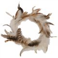 Wreath of feathers deco feathers nature Easter decoration Ø15cm 4pcs