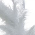 Floristik24 Feather Wreath White Ø20cm Deco Wreath Spring Real Feathers 3pcs
