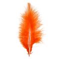 Floristik24 Short feathers 30g orange