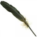 Floristik24 Deco feathers black bird feathers for crafting 14-17cm 20g