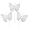 Floristik24 Feather butterfly 8cm with wire white 12pcs