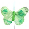 Floristik24 Feather butterfly on wire colored 6cm 12pcs
