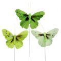 Floristik24 Feather butterfly 8.5cm green 12pcs