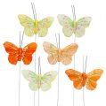 Floristik24 Feather butterflies 6cm yellow, orange 24pcs