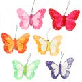 Floristik24 Feather butterflies on clip multicolored 7cm 12pcs
