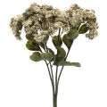 Floristik24 Stonecrop cream sedum stonecrop artificial flowers 48cm 4pcs