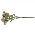 Floristik24 Stonecrop cream sedum stonecrop artificial flowers 48cm 4pcs