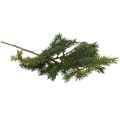 Floristik24 Artificial fir branch spruce branch green brown 58cm