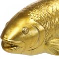 Floristik24 Decorative fish to put down, fish sculpture polyresin golden large L25cm