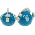 Floristik24 Ceramic fish, maritime, decorative fish blue L11.5 4pcs