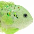 Floristik24 Decorative fish to hang green pink orange blue 13-24cm 6pcs