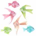 Floristik24 Decorative fish to hang green pink orange blue 13-24cm 6pcs