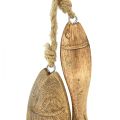 Floristik24 Fish made of mango wood wooden fish for hanging natural 10/15cm