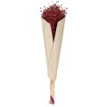 Flax Bordeaux Red Dried Decoration Dried Flowers L55cm 80g | Floristik24.ie