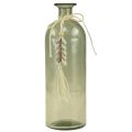Floristik24 Bottles decorative glass vase cowrie shells maritime H26cm 2pcs