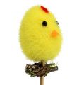 Floristik24 Fluffy chick yellow on the stick 4cm 6pcs