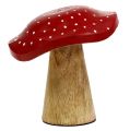 Floristik24 Fly agaric wood mushroom mix 9cm -10.5cm red, natural 8pcs
