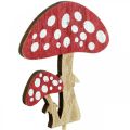 Floristik24 Wooden toadstools, mushroom decoration, autumn, flower plugs H7cm L34cm 18 pieces