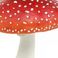 Floristik24 Deco fly agaric red, white table decoration autumn mushroom Ø16cm H19cm