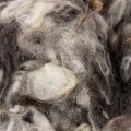 Sheep wool decorative natural wool gray mottled loose 250g | Floristik24.ie