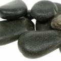 Floristik24 River Pebbles Matte Black Natural Stones Decorative Stones L15–60mm W15–40mm 2kg